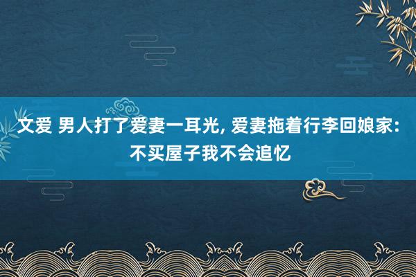文爱 男人打了爱妻一耳光, 爱妻拖着行李回娘家: 不买屋子我不会追忆