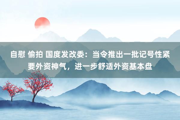 自慰 偷拍 国度发改委：当令推出一批记号性紧要外资神气，进一步舒适外资基本盘