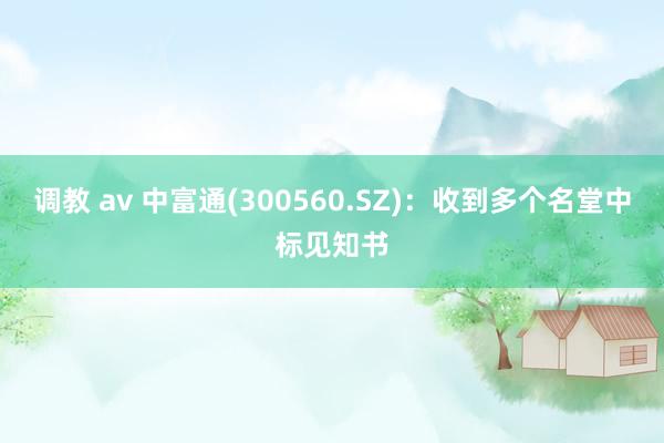 调教 av 中富通(300560.SZ)：收到多个名堂中标见知书