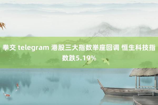 拳交 telegram 港股三大指数举座回调 恒生科技指数跌5.19%
