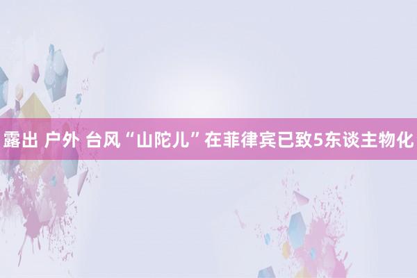 露出 户外 台风“山陀儿”在菲律宾已致5东谈主物化