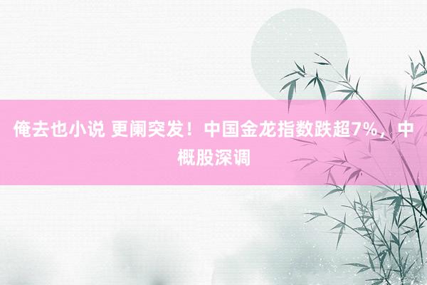 俺去也小说 更阑突发！中国金龙指数跌超7%，中概股深调