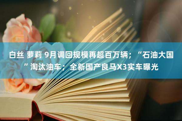 白丝 萝莉 9月调回规模再超百万辆；“石油大国”淘汰油车；全新国产良马X3实车曝光
