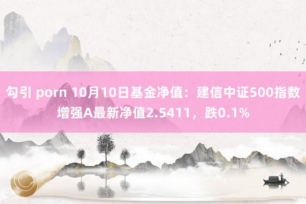 勾引 porn 10月10日基金净值：建信中证500指数增强A最新净值2.5411，跌0.1%