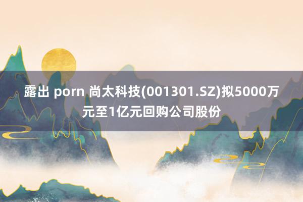 露出 porn 尚太科技(001301.SZ)拟5000万元至1亿元回购公司股份