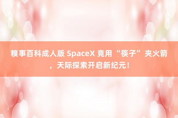 糗事百科成人版 SpaceX 竟用 “筷子” 夹火箭，天际探索开启新纪元！