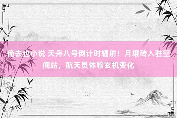 俺去也小说 天舟八号倒计时辐射！月壤砖入驻空间站，航天员体验玄机变化