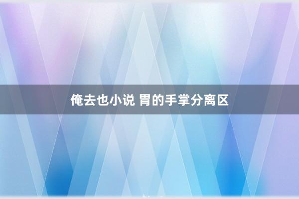 俺去也小说 胃的手掌分离区