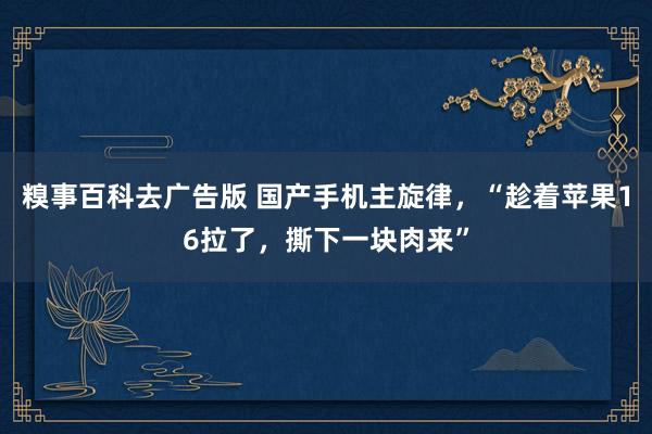 糗事百科去广告版 国产手机主旋律，“趁着苹果16拉了，撕下一块肉来”