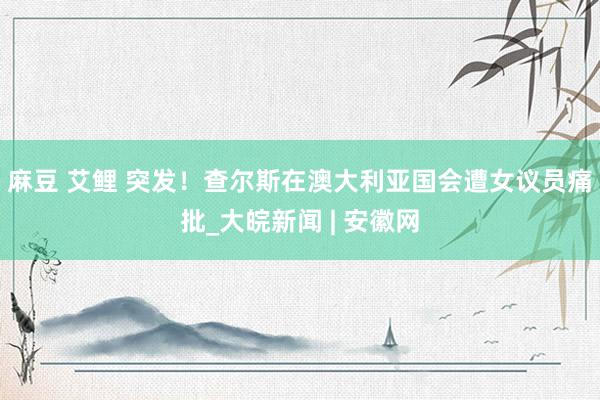 麻豆 艾鲤 突发！查尔斯在澳大利亚国会遭女议员痛批_大皖新闻 | 安徽网