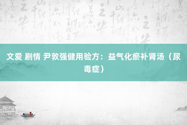 文爱 剧情 尹敦强健用验方：益气化瘀补肾汤（尿毒症）