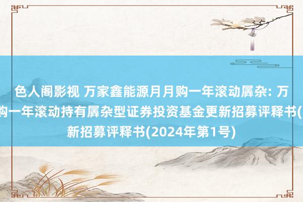 色人阁影视 万家鑫能源月月购一年滚动羼杂: 万家鑫能源月月购一年滚动持有羼杂型证券投资基金更新招募评释书(2024年第1号)