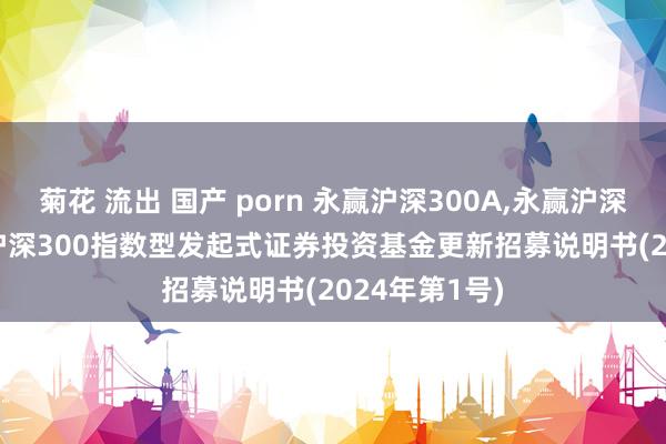 菊花 流出 国产 porn 永赢沪深300A,永赢沪深300C: 永赢沪深300指数型发起式证券投资基金更新招募说明书(2024年第1号)