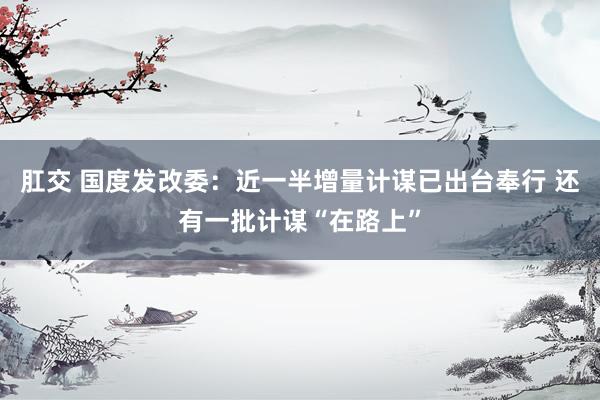 肛交 国度发改委：近一半增量计谋已出台奉行 还有一批计谋“在路上”