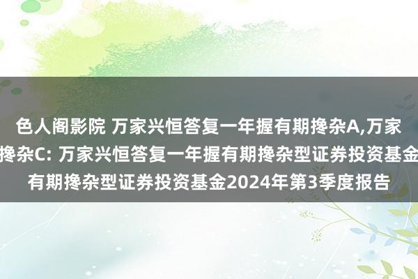 色人阁影院 万家兴恒答复一年握有期搀杂A,万家兴恒答复一年握有期搀杂C: 万家兴恒答复一年握有期搀杂型证券投资基金2024年第3季度报告