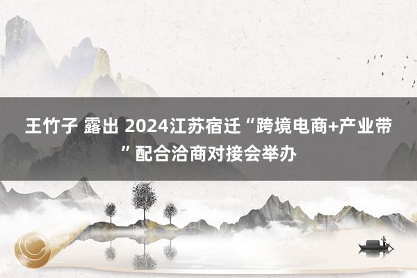 王竹子 露出 2024江苏宿迁“跨境电商+产业带”配合洽商对接会举办