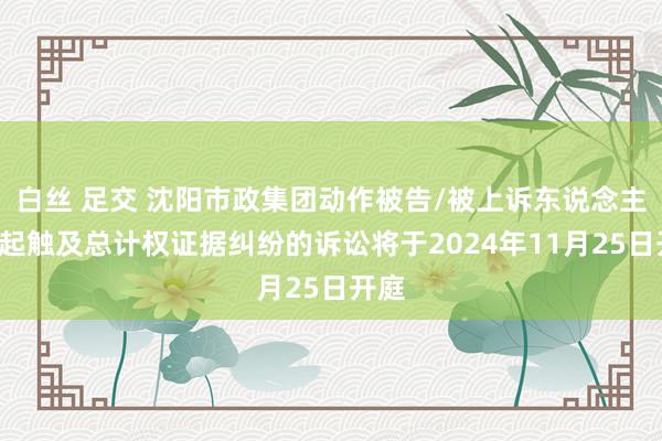 白丝 足交 沈阳市政集团动作被告/被上诉东说念主的1起触及总计权证据纠纷的诉讼将于2024年11月25日开庭
