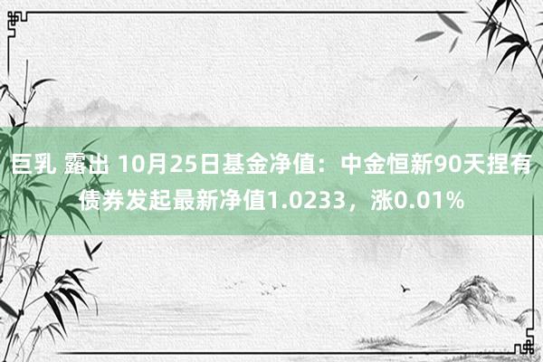 巨乳 露出 10月25日基金净值：中金恒新90天捏有债券发起最新净值1.0233，涨0.01%