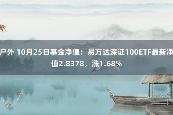 户外 10月25日基金净值：易方达深证100ETF最新净值2.8378，涨1.68%