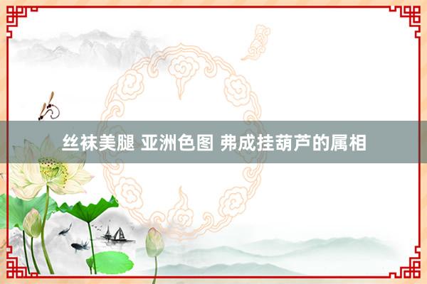 丝袜美腿 亚洲色图 弗成挂葫芦的属相