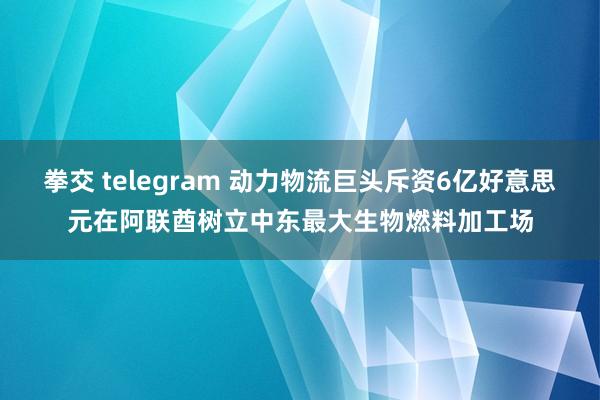 拳交 telegram 动力物流巨头斥资6亿好意思元在阿联酋树立中东最大生物燃料加工场