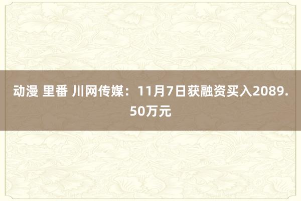 动漫 里番 川网传媒：11月7日获融资买入2089.50万元