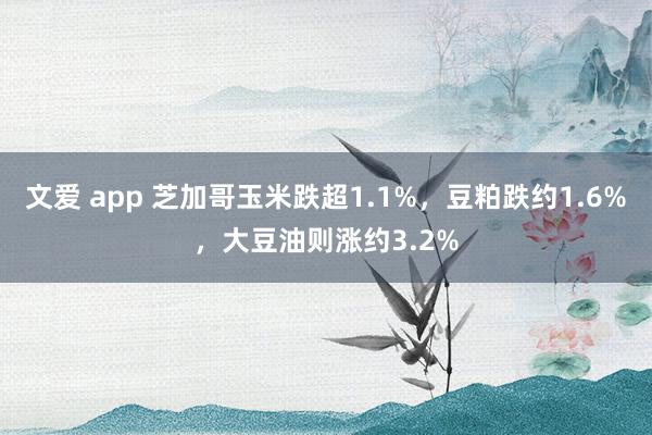 文爱 app 芝加哥玉米跌超1.1%，豆粕跌约1.6%，大豆油则涨约3.2%