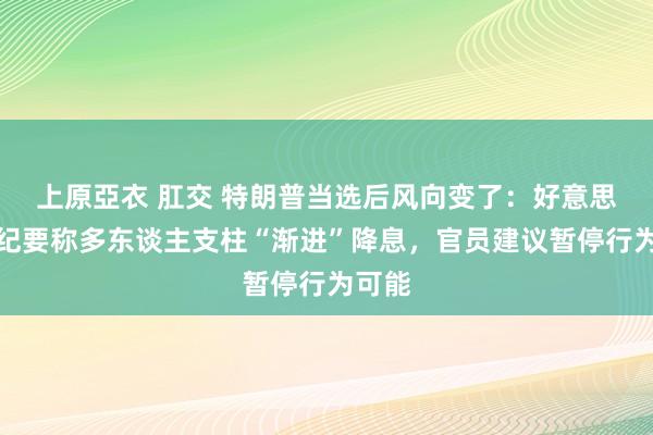 上原亞衣 肛交 特朗普当选后风向变了：好意思联储纪要称多东谈主支柱“渐进”降息，官员建议暂停行为可能