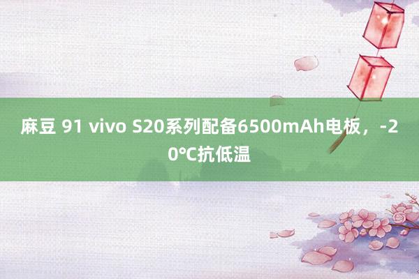 麻豆 91 vivo S20系列配备6500mAh电板，-20℃抗低温