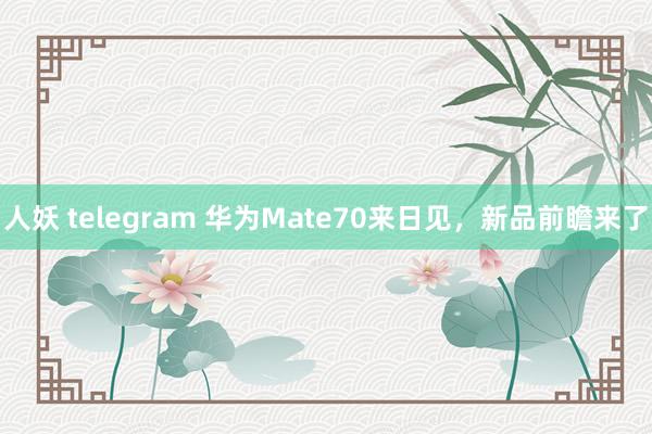人妖 telegram 华为Mate70来日见，新品前瞻来了