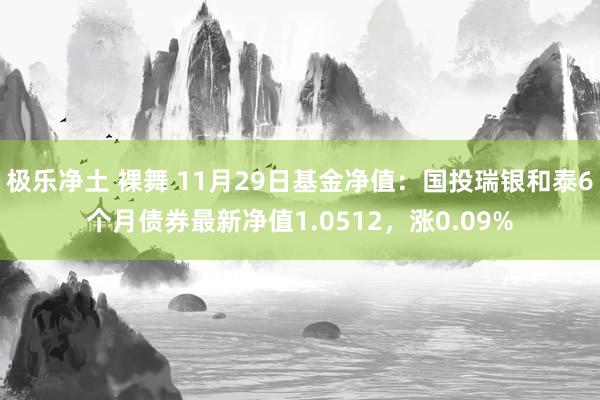 极乐净土 裸舞 11月29日基金净值：国投瑞银和泰6个月债券最新净值1.0512，涨0.09%