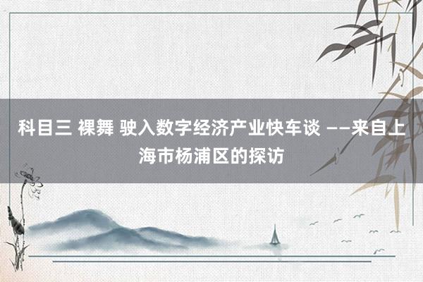 科目三 裸舞 驶入数字经济产业快车谈 ——来自上海市杨浦区的探访