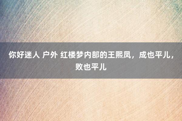 你好迷人 户外 红楼梦内部的王熙凤，成也平儿，败也平儿