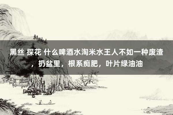 黑丝 探花 什么啤酒水淘米水王人不如一种废渣，扔盆里，根系痴肥，叶片绿油油