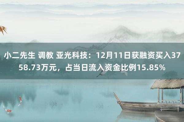 小二先生 调教 亚光科技：12月11日获融资买入3758.73万元，占当日流入资金比例15.85%
