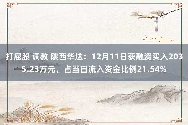 打屁股 调教 陕西华达：12月11日获融资买入2035.23万元，占当日流入资金比例21.54%