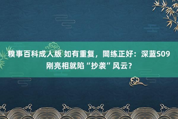 糗事百科成人版 如有重复，闇练正好：深蓝S09刚亮相就陷“抄袭”风云？