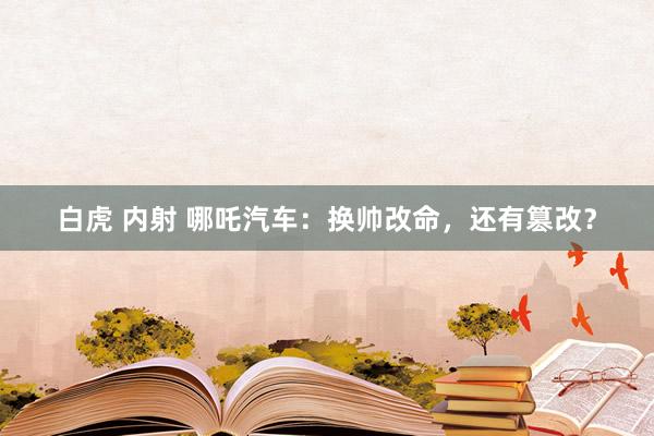 白虎 内射 哪吒汽车：换帅改命，还有篡改？