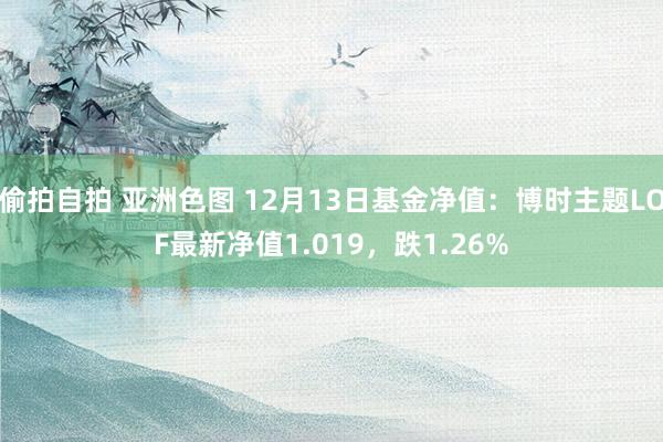 偷拍自拍 亚洲色图 12月13日基金净值：博时主题LOF最新净值1.019，跌1.26%