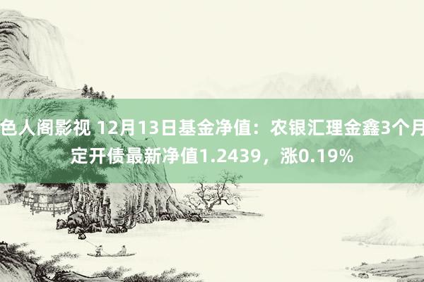 色人阁影视 12月13日基金净值：农银汇理金鑫3个月定开债最新净值1.2439，涨0.19%