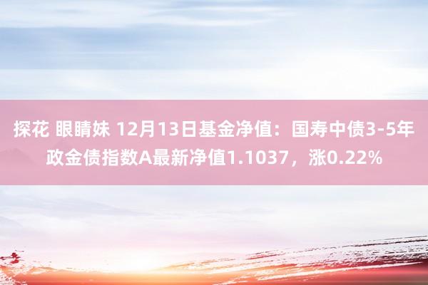 探花 眼睛妹 12月13日基金净值：国寿中债3-5年政金债指数A最新净值1.1037，涨0.22%