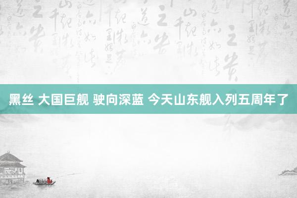 黑丝 大国巨舰 驶向深蓝 今天山东舰入列五周年了