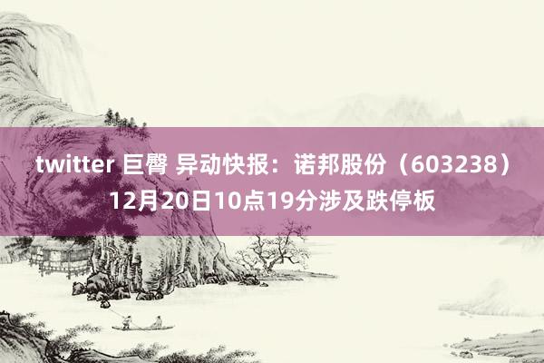twitter 巨臀 异动快报：诺邦股份（603238）12月20日10点19分涉及跌停板