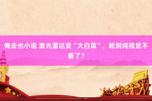 俺去也小说 激光雷达变“大白菜”，轮到纯视觉不香了？