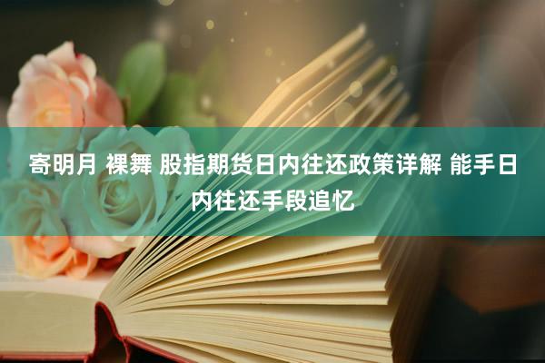 寄明月 裸舞 股指期货日内往还政策详解 能手日内往还手段追忆