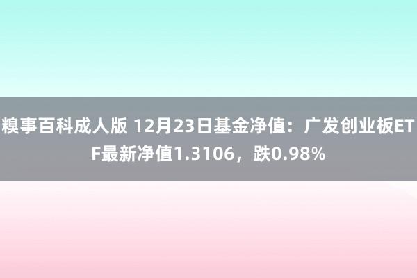 糗事百科成人版 12月23日基金净值：广发创业板ETF最新净值1.3106，跌0.98%