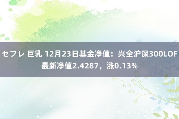 セフレ 巨乳 12月23日基金净值：兴全沪深300LOF最新净值2.4287，涨0.13%