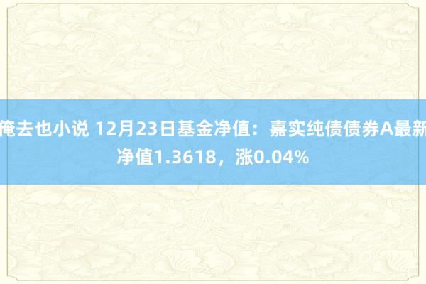 俺去也小说 12月23日基金净值：嘉实纯债债券A最新净值1.3618，涨0.04%