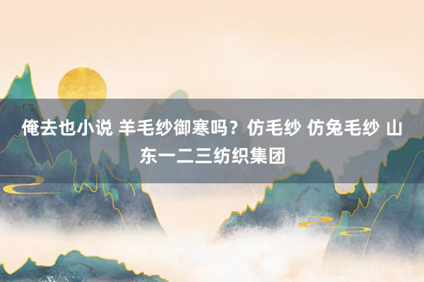 俺去也小说 羊毛纱御寒吗？仿毛纱 仿兔毛纱 山东一二三纺织集团