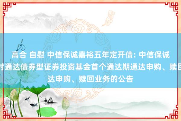 高合 自慰 中信保诚嘉裕五年定开债: 中信保诚嘉裕五年按时通达债券型证券投资基金首个通达期通达申购、赎回业务的公告